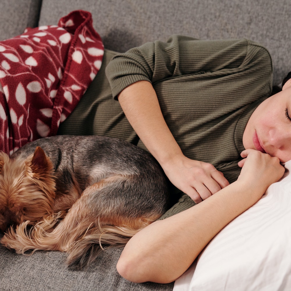 Emotional Support Dog for Anxiety