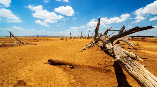 Groundwater aquifers are particularly important in arid deserts where surface water may be hard to find.