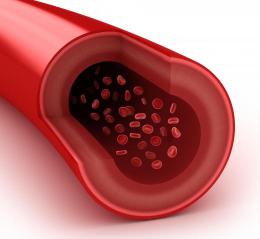 Nitric oxide is especially in regulating and supplying blood flow in certain body parts when needed.