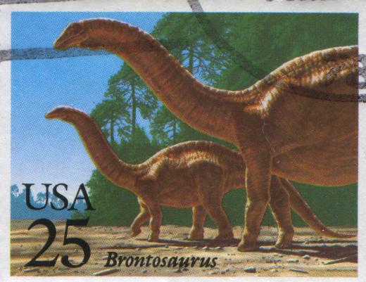 The name "brontosaurus" was misapplied, as it is now known that these long-necked sauropods were apatosaurs.