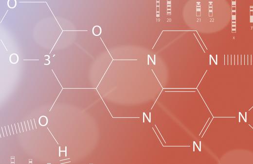 Chemical compounds are formed when two or more elements bond together.