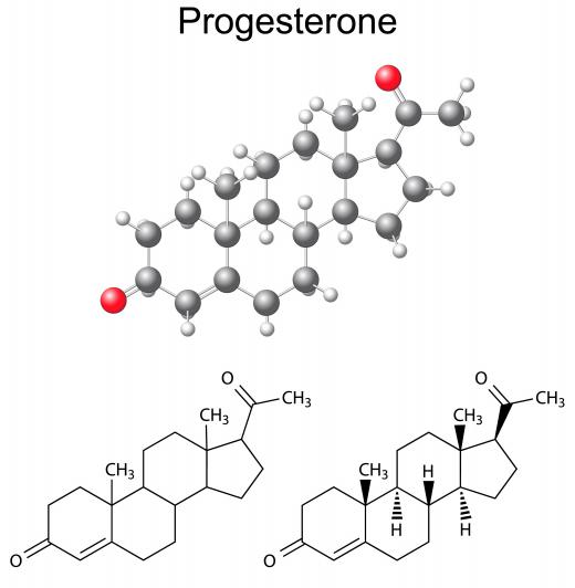 One type of Cladosporium is used to produce enzymes that transform certain steroid compounds into progesterone.