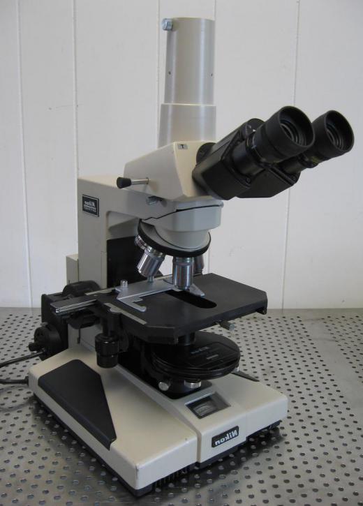 Contrast microscopes may be more expensive to purchase than dark field microscopes.