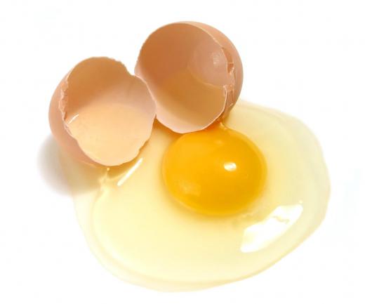 Egg whites contain a type of albumin called ovalbumin.