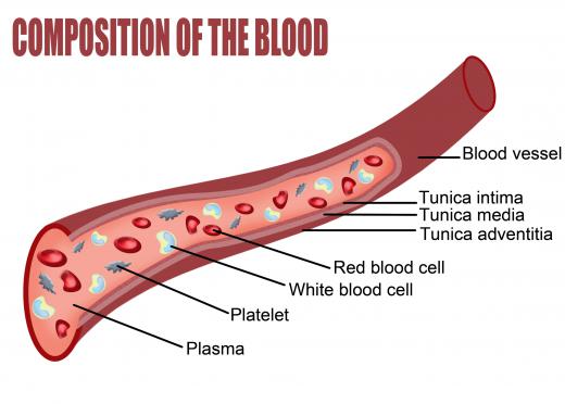 Platelets are vital for the body's ability to stop bleeding.