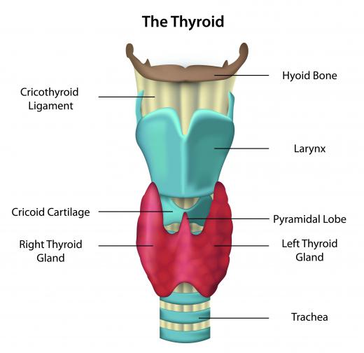 People who use thyroid replacement therapy may find that thyroxidine is not as effective as Synthroid.