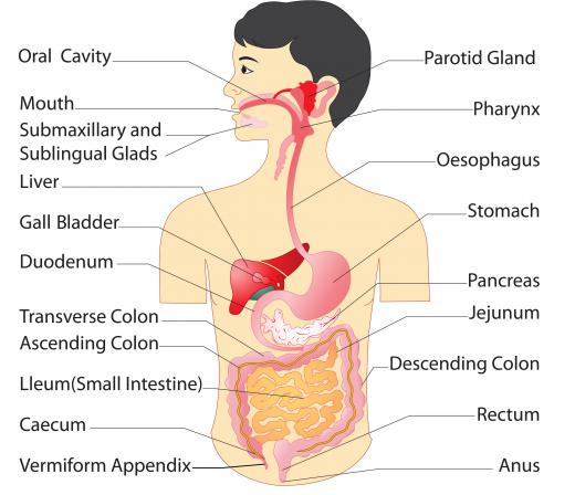 NDEA has been linked to cancers of the stomach, esophagus and liver.