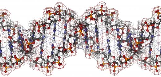 Recombinant DNA technology includes several methods used to insert foreign DNA into organisms for genetic study.