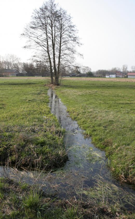 Drainage ditches can help to hold excess water in agricultural areas.