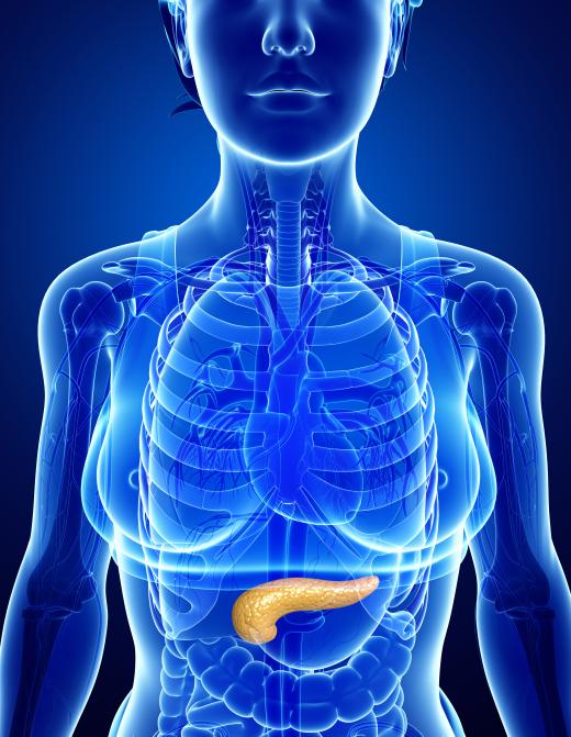 If the pancreas fails to properly produce insulin, blood glucose levels will rise.