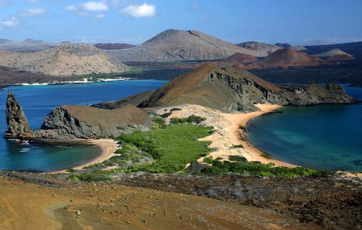 Darwin's visit to the Galapagos Islands helped him develop his theory of natural selection.