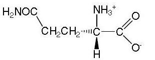 Glutamine structure.