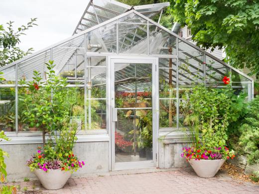 Light passes onto the plants in the greenhouse, which convert the light into heat energy, which is trapped inside the greenhouse by the glass.