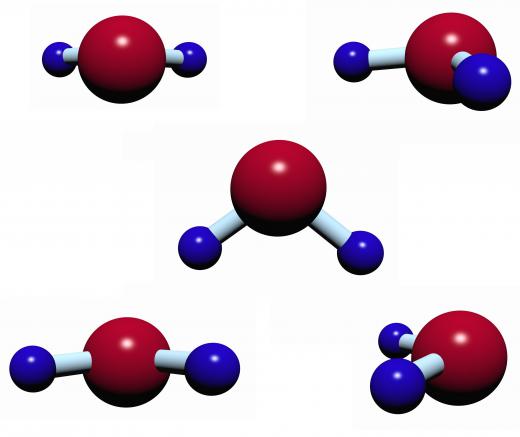 A water molecule is eliminated during esterification.