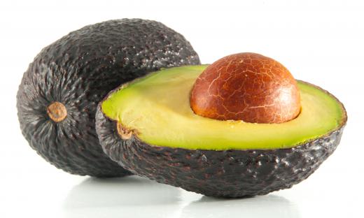 During the 1940s and 1950s, aeroponics was used to grow avocados.