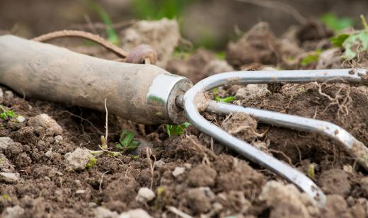 Geologists can collect rock samples using hand cultivator.