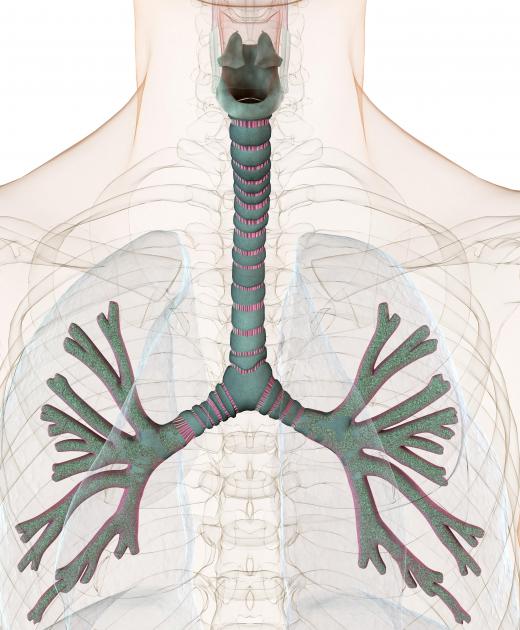 Aerobic respiration is cellular respiration that needs oxygen.