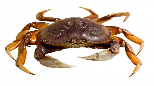 Crab is a good source of selenium.