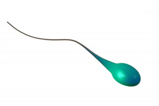 Beta particles can possibly damage sperm cells.