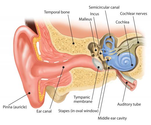 Immittance testing usually involves how sound travels from the middle ear to the inner ear and how pressure changes affect the ear drum.