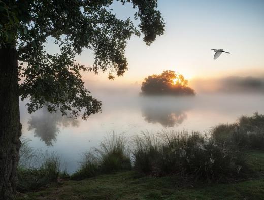 Fog is the result of heat flow known as condensation.