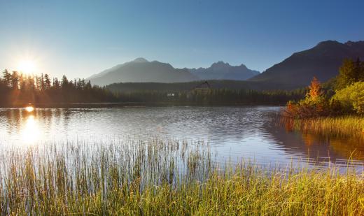 A limnologist is a person who studies inland water systems such as lakes.