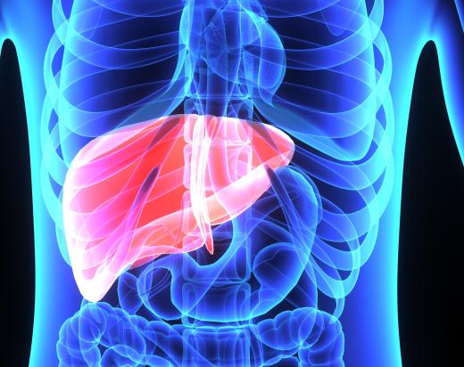 If the liver is overloaded with toxins, it may be unable to produce enzymes quickly enough, leading to sickness.