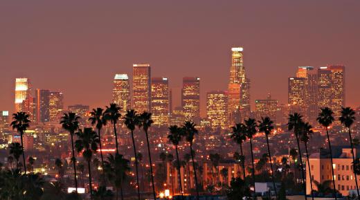 A significant number of Dire Wolf fossils were found in the La Brea Tar Pits of Los Angeles.