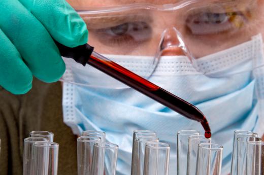 Blood may be analyzed in a forensic science laboratory.