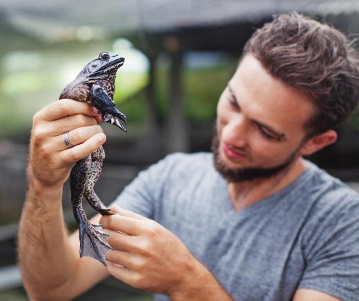 Bioscientists study living organisms of all sizes, including animals.