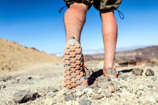 Hikers often make use of topographical survey maps when exploring trails.