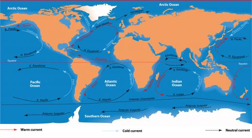 The California Current runs along the Pacific coast of North America.