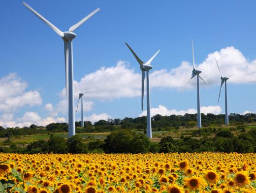 Turbines rely on the primary energy of wind.