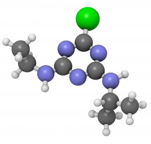 Molecules studied by biochemists include proteins, carbohydrates and lipids.