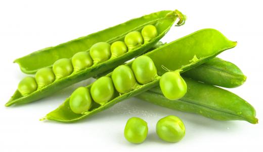 Gregor Mendel studied pea pods as a way to research genetics.