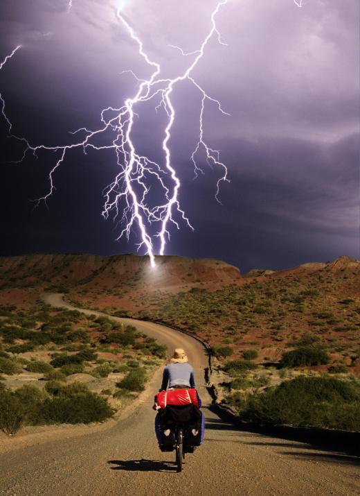 People and pets should go inside homes and buildings during lightning storms to the avoid risk of getting struck.