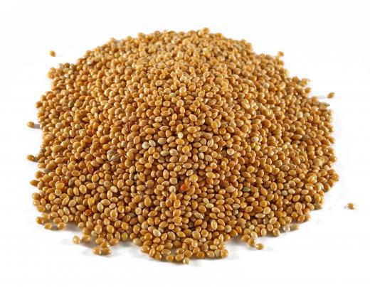 Sorghum can be used for the production of gasohol.