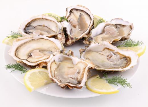 Some shellfish, like oysters, can be successfully farmed with marine aquaculture.