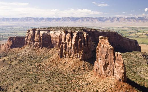 Plant ecologists may study plants that grow in specific ecosystems, such as plateaus.