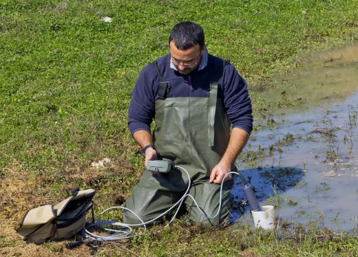 A researcher testing the water's pH level.