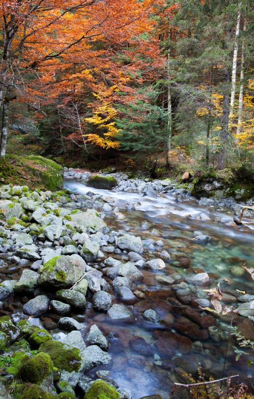 Streams and rivers are a source of raw water.