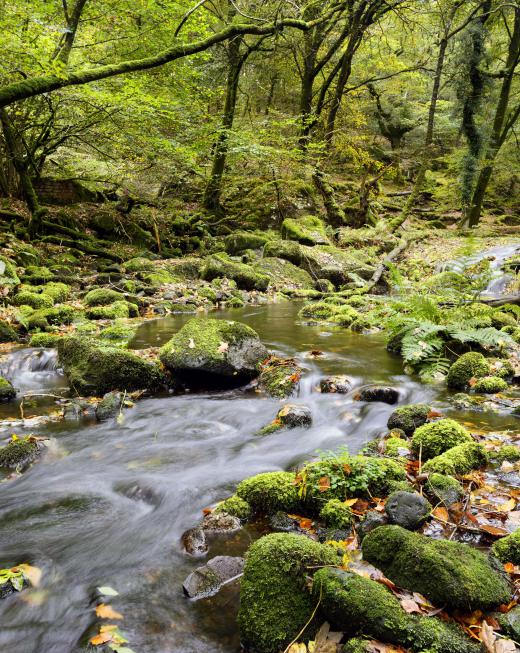 Groundwater can seep out of aquifers and into rivers and streams.