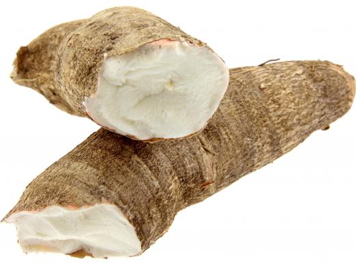 Cassava roots are a natural source of cyanide.