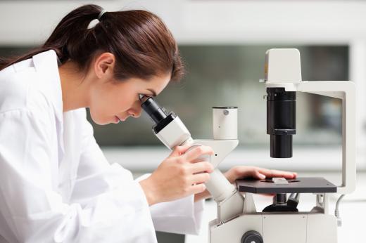 A woman using a microscope.