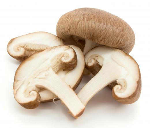 Shiitake mushrooms, a fungus, have the scientific name Lentinula edodes.