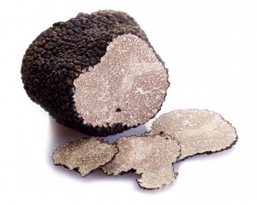 Black truffles come from a fungus.