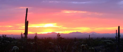 Meteorites are typically found in deserts.