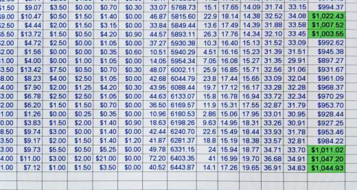 Electronic spreadsheets allow for records to be entered and calculations to be automatically performed by the computer.