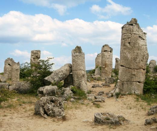 Petrified trees may be described using different nomenclature than normal rocks.