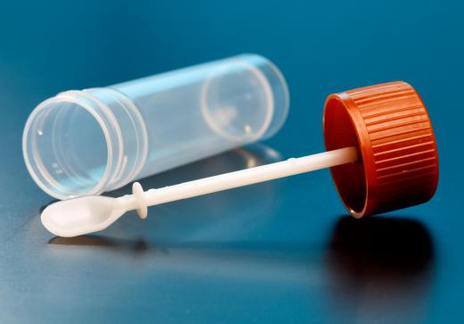 Stool samples that are collected at home are usually placed into plastic containers.